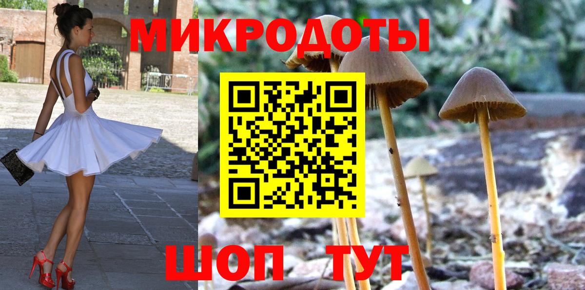 Галлюциногенные грибы прущие грибы Калуга
